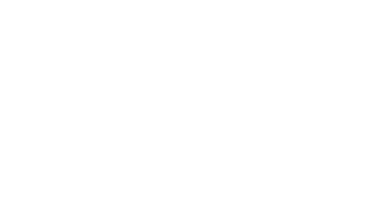 CL VIS DE BARROS FILHO