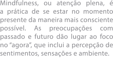 Mindfulness, ou aten  o plena,   a pr tica de se estar no momento presente da maneira mais consciente poss vel  As pr   